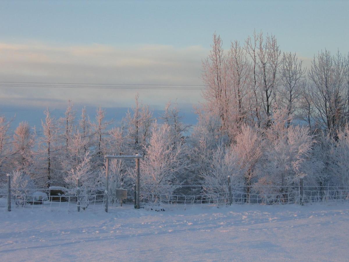 Asholl Guesthouse - Farmstay Акурейри Екстериор снимка